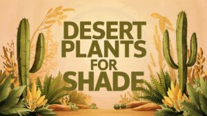 Desert Plants For Shade