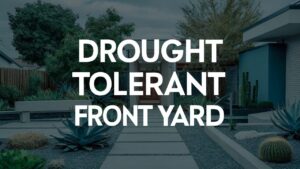 Drought Tolerant Front Yard