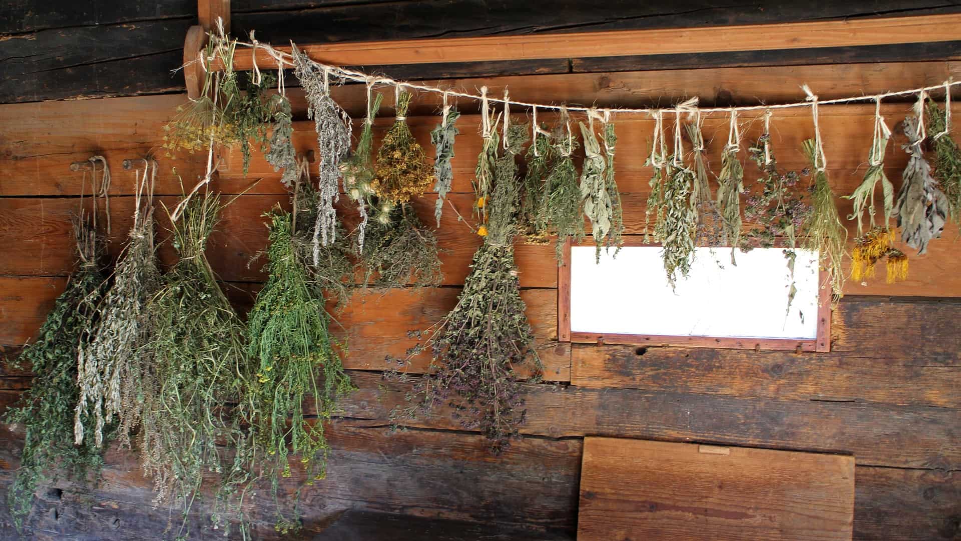 Drying Herbs at Home 🌿 Garden Gear Shop