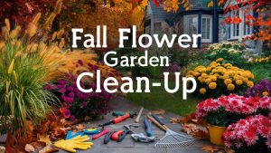 Fall Flower Garden Clean Up