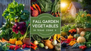 Fall Garden Vegetables for Texas Zone 9