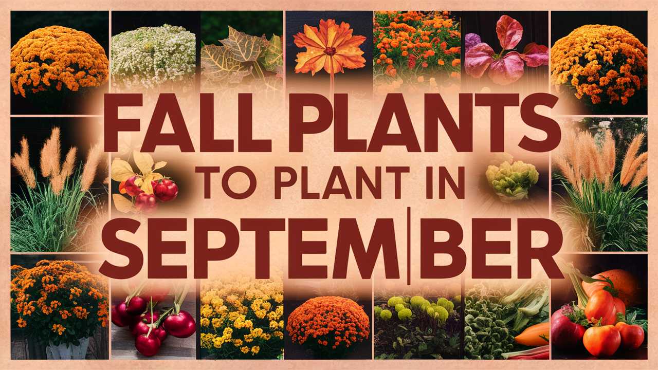 Fall Plants To Plant In September