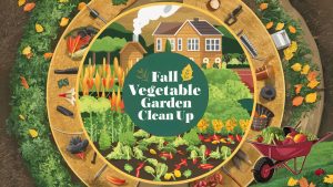 Fall Vegetable Garden Clean Up