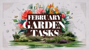 February Garden Tasks