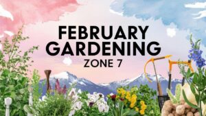 February Gardening Zone 7