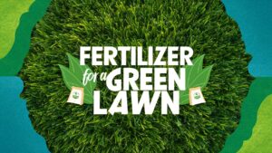 Fertilizer For a Green Lawn