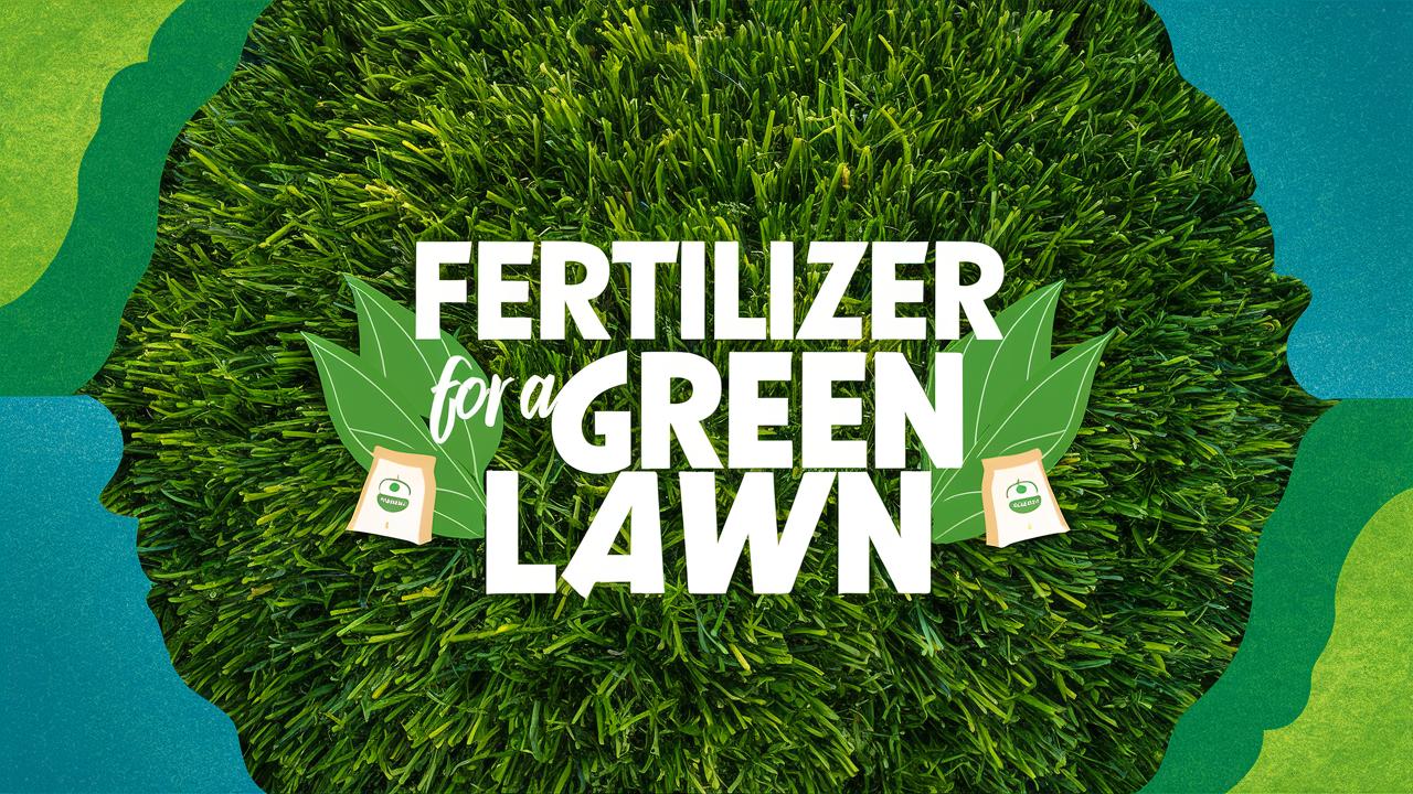 Fertilizer For a Green Lawn