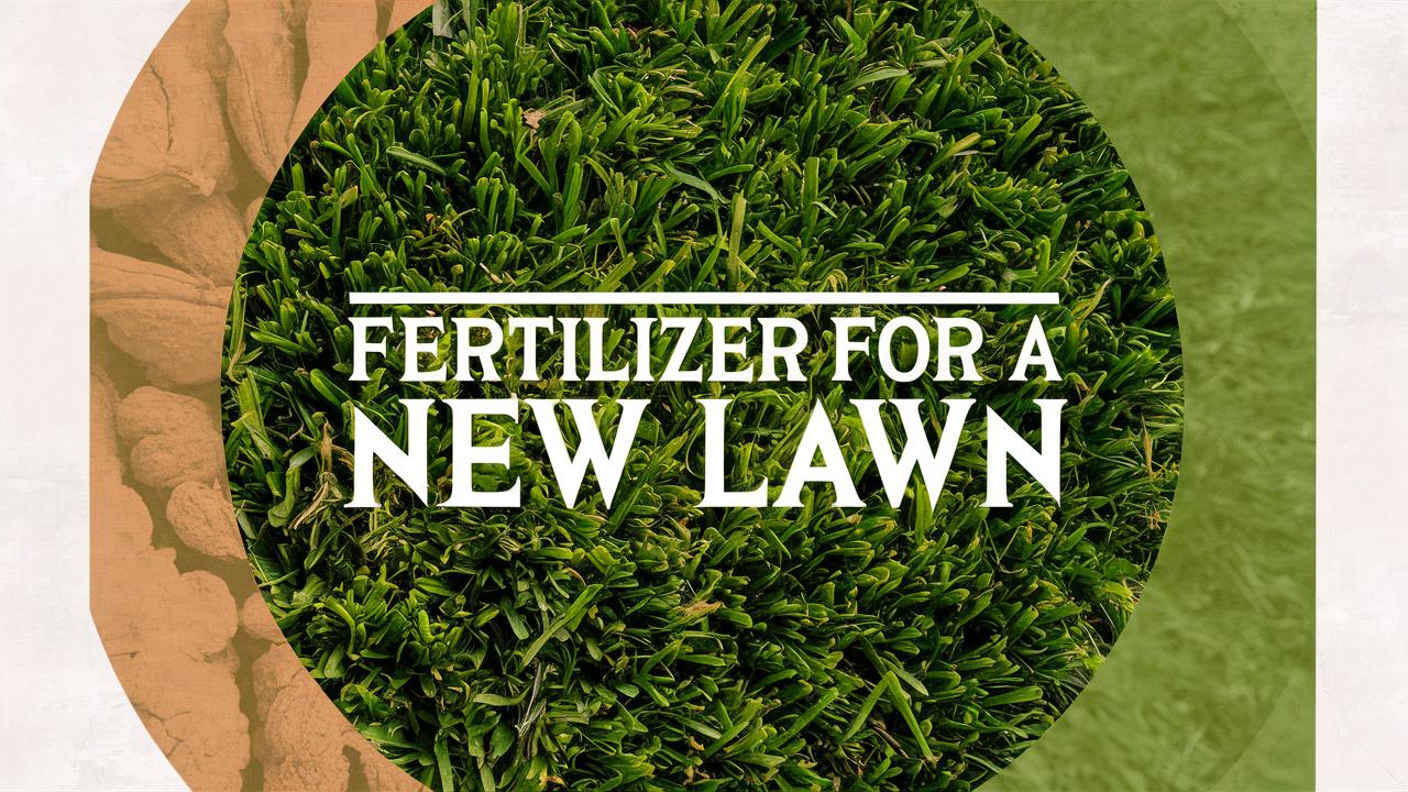 Fertilizer For A New Lawn
