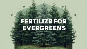 Fertilizer For Evergreen Trees