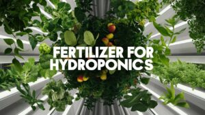 Fertilizer For Hydroponics