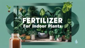 Fertilizer For Indoor Plants