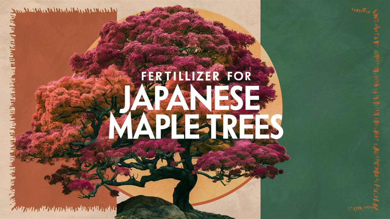 Fertilizer For Japanese Maple Trees