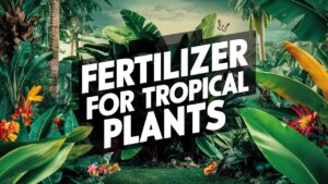 Fertilizer For Tropical Plants