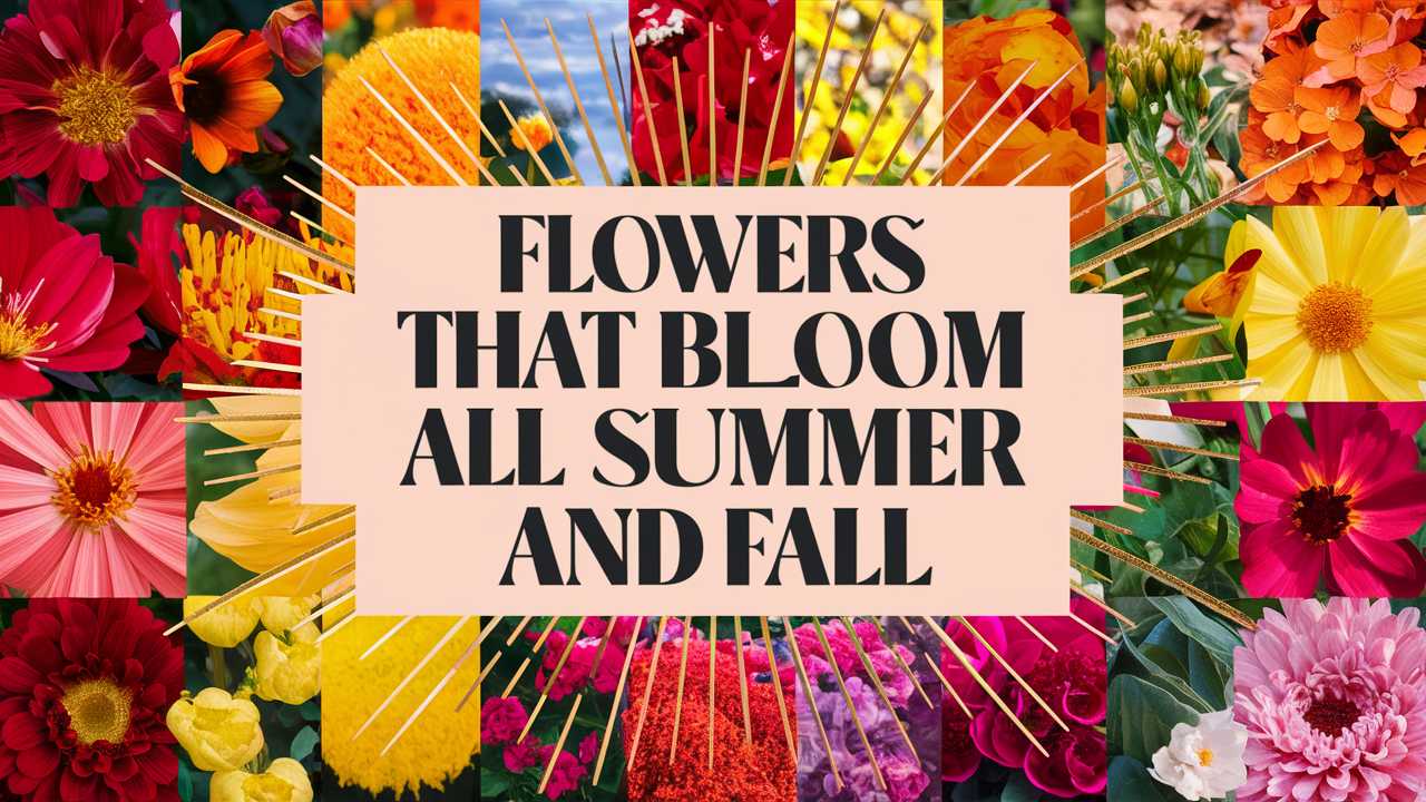 Flowers That Bloom All Summer And Fall