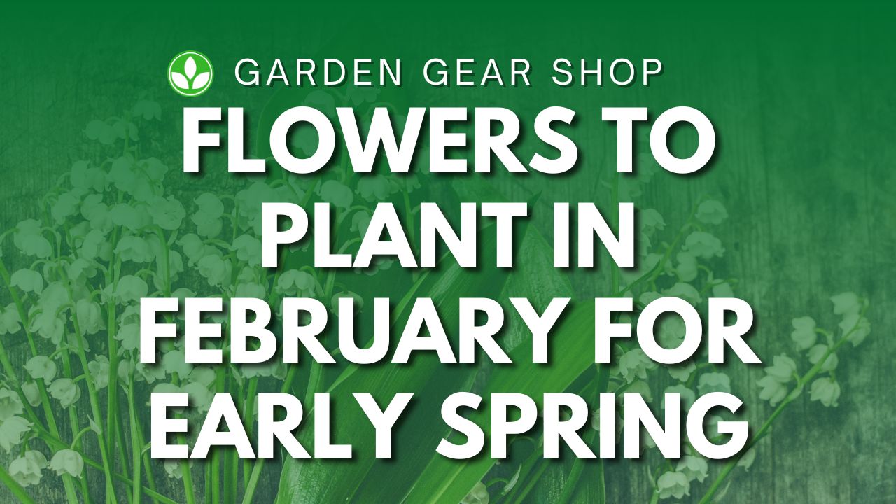 Flowers To Plant In February Early Spring