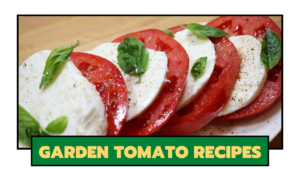 Garden Tomato Recipes