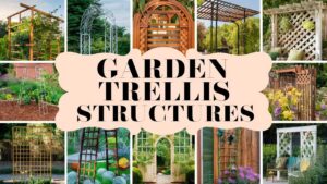 Garden Trellis Structures