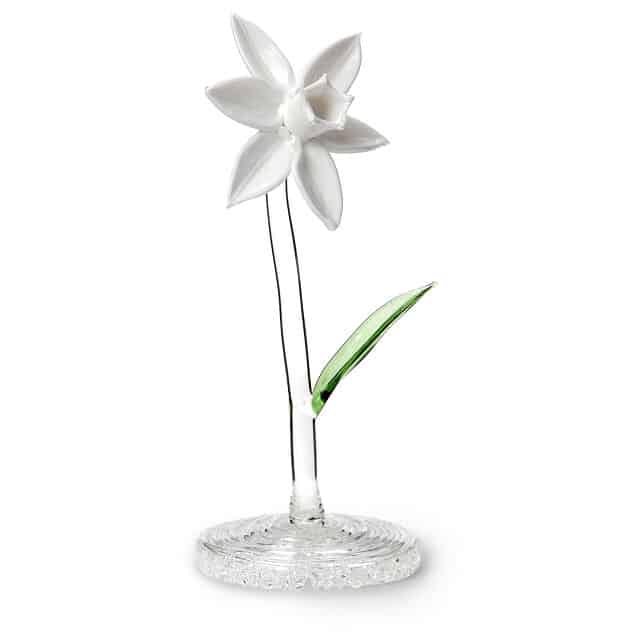 Glass Narcissus December Birth Month Flower