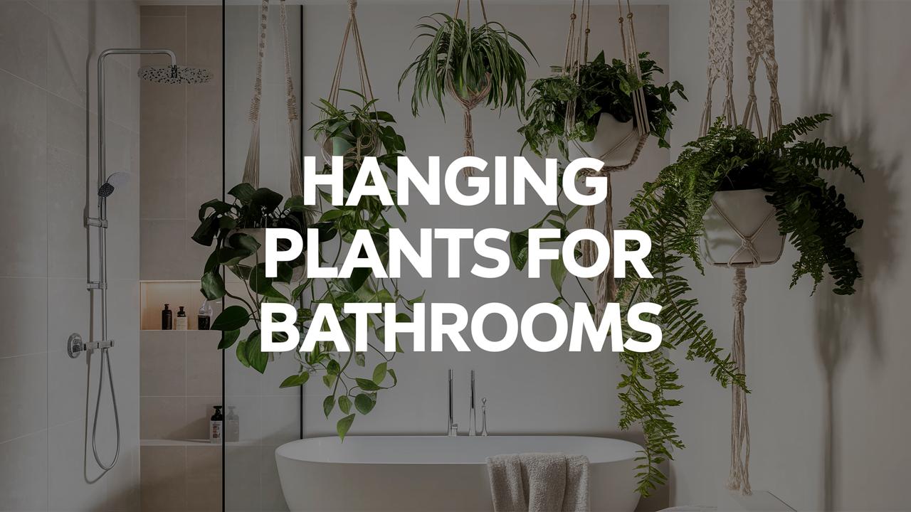 Hanging Plants For Bathrooms