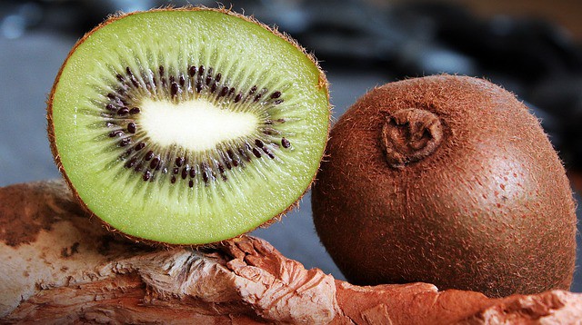 Hardy Kiwi Vine (Actinidia arguta and Actinidia kolomikta)