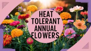 Heat Tolerant Annual Flowers