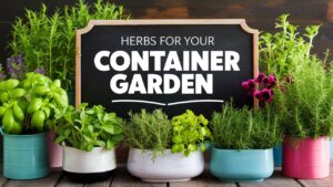 Herbs for Your Container Garden