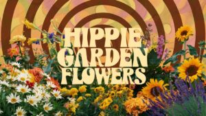 Hippie Garden Flowers