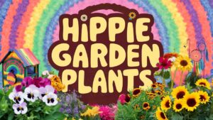 Hippie Garden Plants
