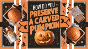 How Do You Preserve A Carved Pumpkin