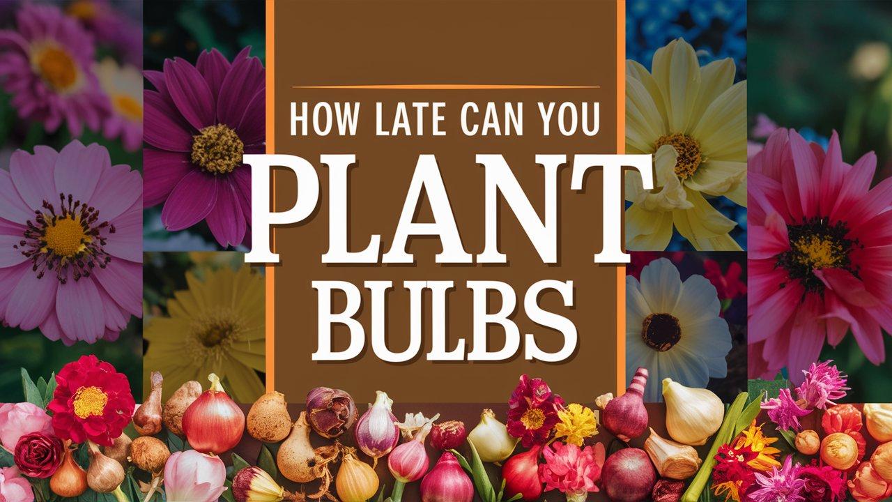 How Late Can You Plant Bulbs