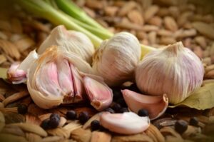 How To Grow Garlic Hydroponically