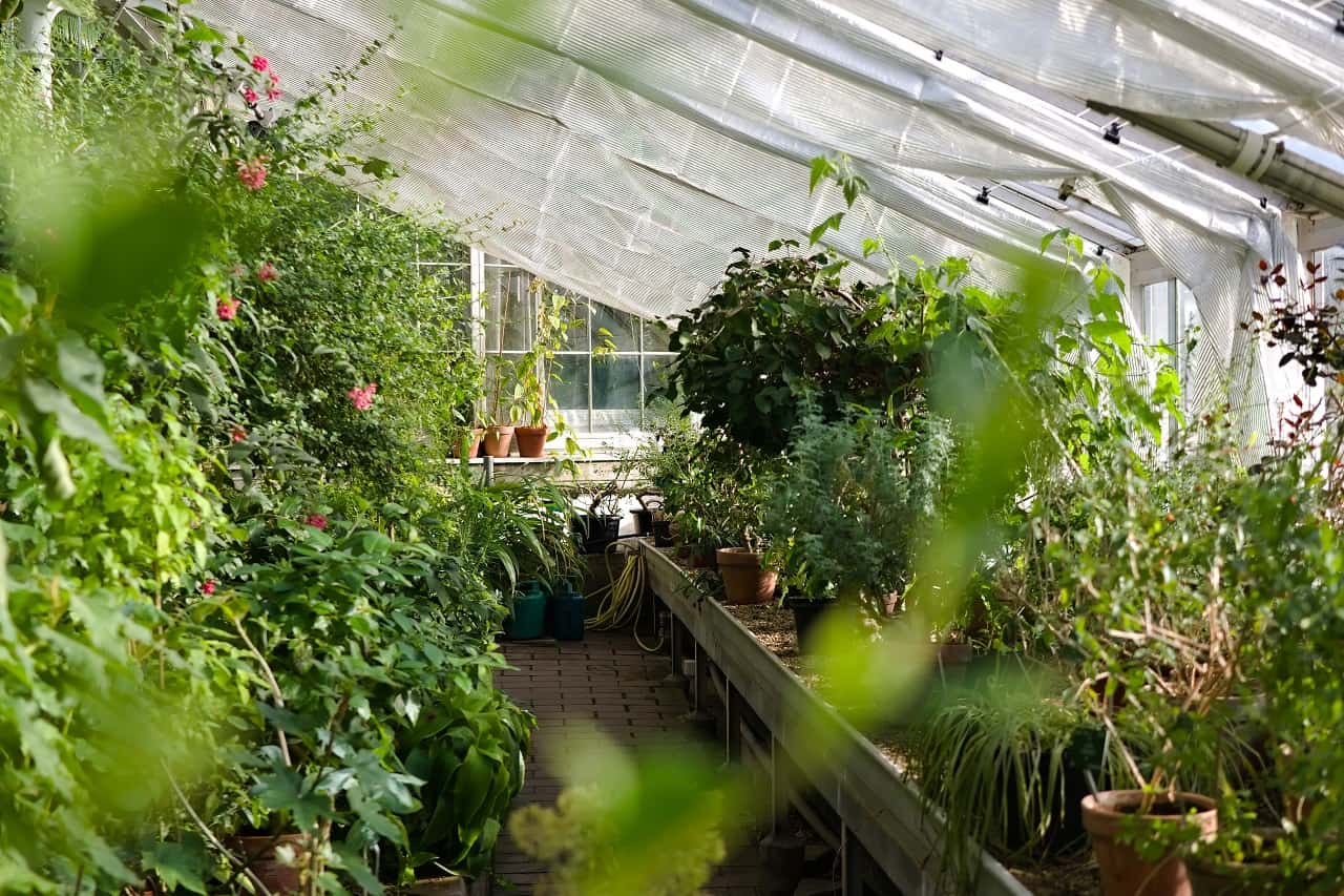 How To Heat a Greenhouse Without Electricity