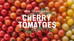 How To Preserve Cherry Tomatoes