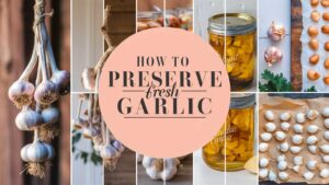 How To Preserve Fresh Garlic