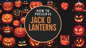 How To Preserve Jack O Lanterns