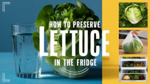 How To Preserve Lettuce In The Fridge