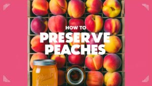 How To Preserve Peaches