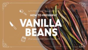 How To Preserve Vanilla Beans