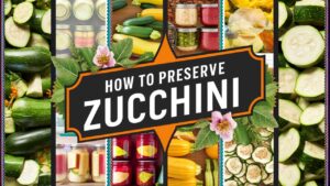 How To Preserve Zucchini