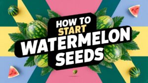 How To Start Watermelon Seeds