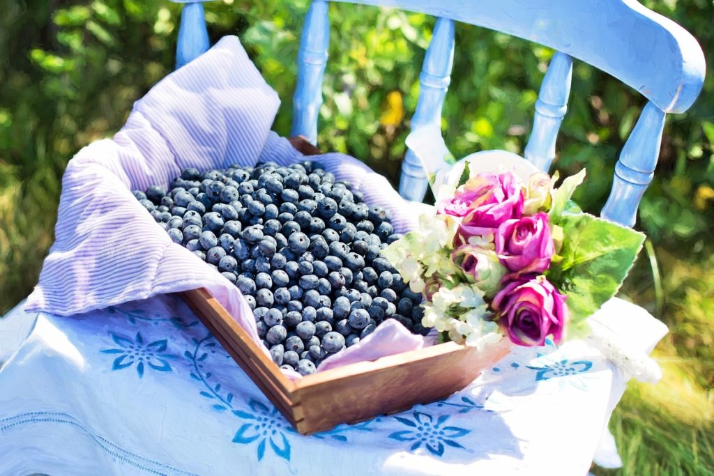 How to Grow Blueberries at Home