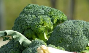How to Grow Broccoli at Home