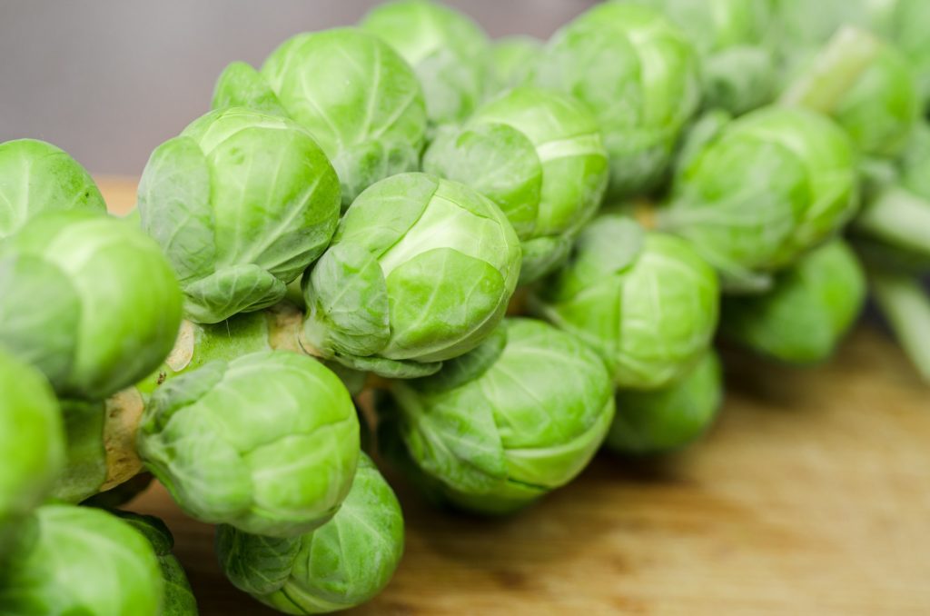 How to Grow Brussels Sprouts at Home