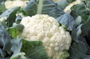 How to Grow Cauliflower at Home