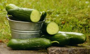 How to Grow Cucumbers at Home