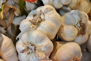 How to Grow Garlic at Home