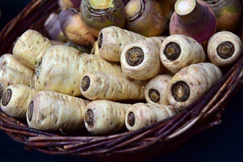 How to Grow Parsnips