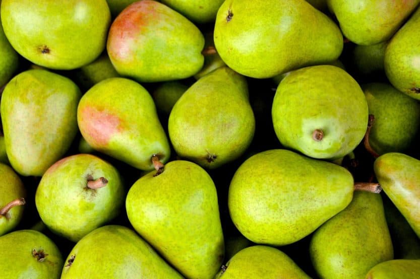 How to Grow Pear Trees