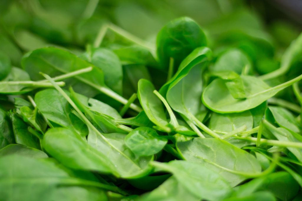 How to Grow Spinach at Home