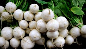 How to Grow Turnips in your Garden